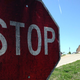 A photo shows a stop sign covered in black whiskey fungus.